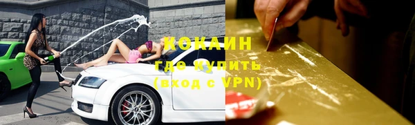 стафф Новозыбков