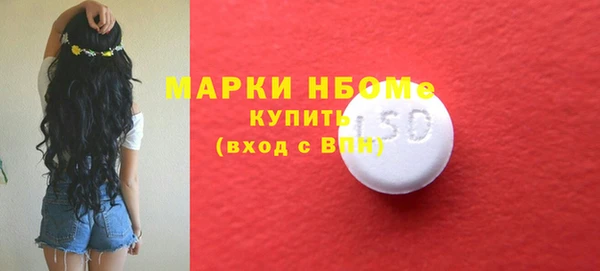 стафф Новозыбков