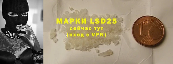 стафф Новозыбков