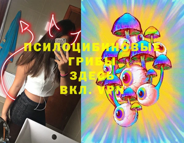стафф Новозыбков