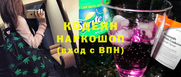 стафф Новозыбков
