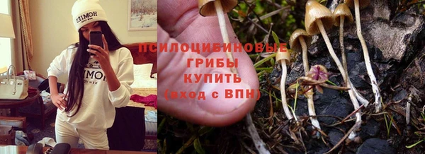 ECSTASY Новодвинск