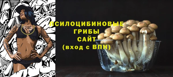 стафф Новозыбков