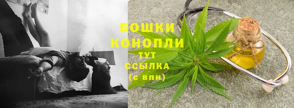 ECSTASY Новодвинск