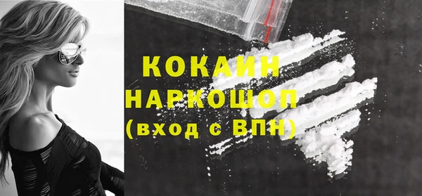 стафф Новозыбков